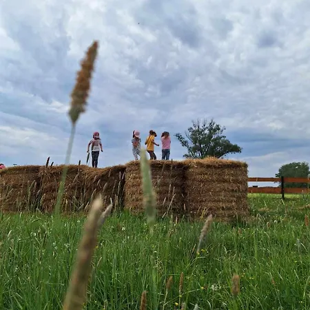 Zagroda Zablocie Miedzy Drzewami * Zablocie (Legionowo)