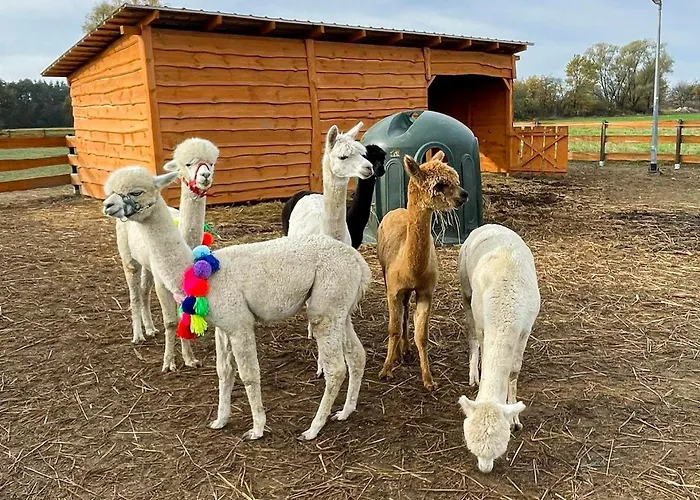 Zagroda Zabłocie Komfort Apartament *