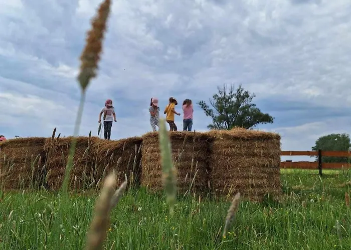 Zagroda Zabłocie Komfort * Zablocie (Legionowo)